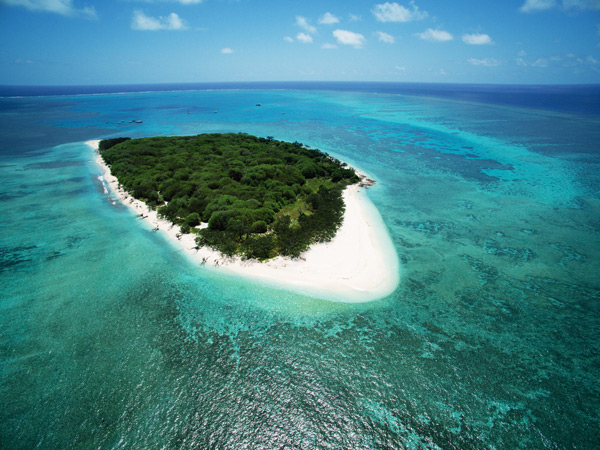 an aerial view of Lady Musgrave Island, Great Barrier Reef camping