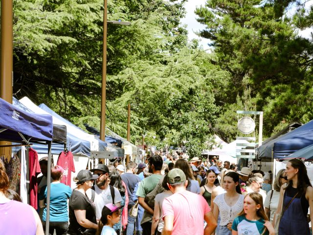 crowded market stalls at Haig Park Village Markets