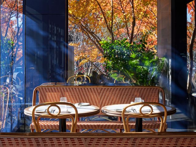 the dining interior at Louis