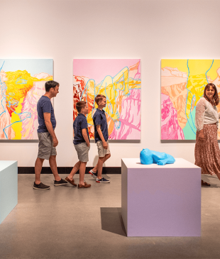 <p><i>13 of the best art galleries</i> on the <strong>Gold Coast</strong></p>
