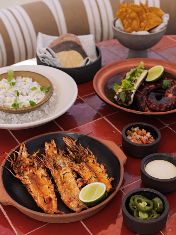 dining at Sueño, Mermaid Beach, Gold Coast bars