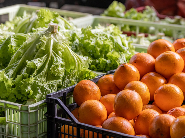 fresh oranges and lettuce on display at Burleigh Market