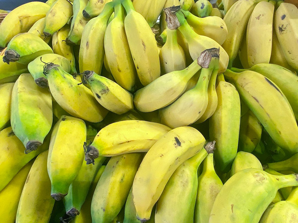 fresh bananas at Evergreen Markets, Gold Coast