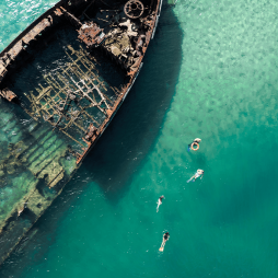 Moreton Island tours