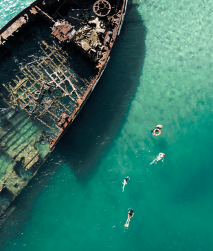 <p><i>11 of the best</i> <strong>Moreton Island</strong> tours from <strong>Brisbane</strong></p>
