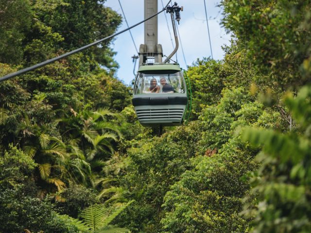 the Skyrail Rainforest Cableway, Cairns