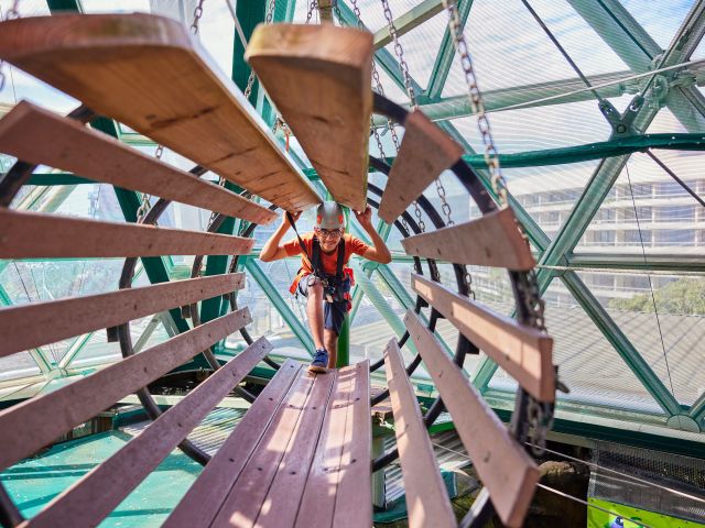 the high ropes challenge course at Cairns ZOOM and Wildlife Dome