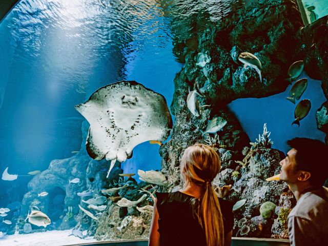 Cairns Aquarium