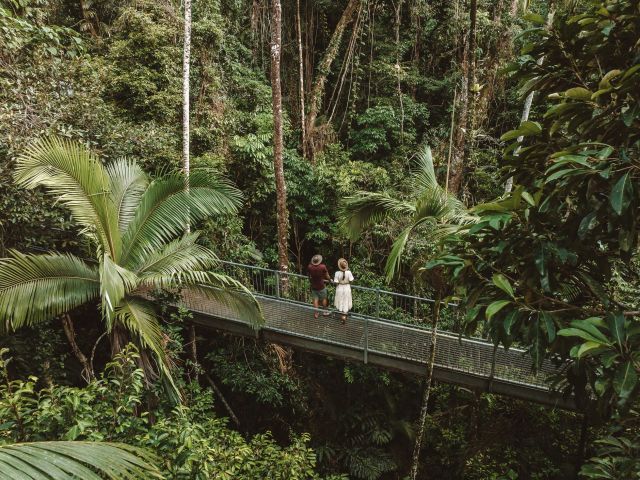 the Daintree Discovery Centre boardwalk