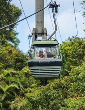 the Skyrail Rainforest Cableway, Cairns