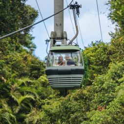the Skyrail Rainforest Cableway, Cairns