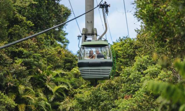 the Skyrail Rainforest Cableway, Cairns