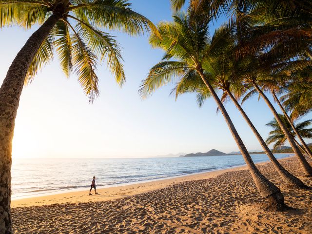 Palm Cove beach