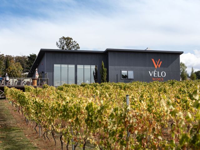 Velo Wines, Tamar Valley