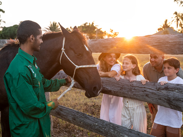 a family seeing a horse up close at Mungalla Station
