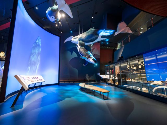 the National Museum of Australia