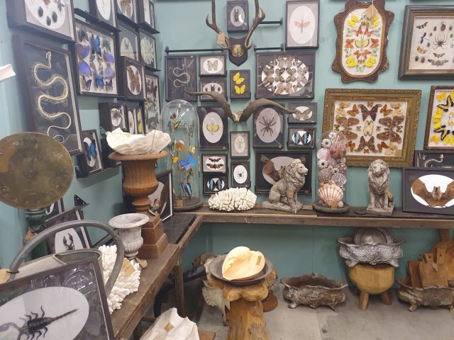 vintage finds at Dirty Janes Canberra