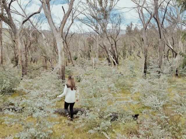a walking trail at Namadgi National Park