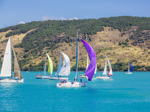 the Hamilton Island yacht week