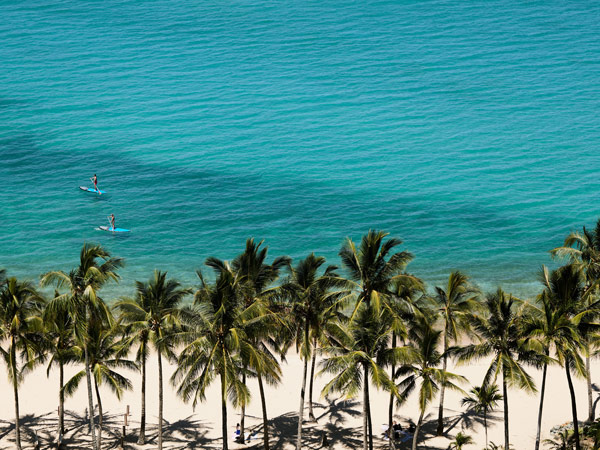 view of Catseye Beach from The Sundays, Hamilton Island