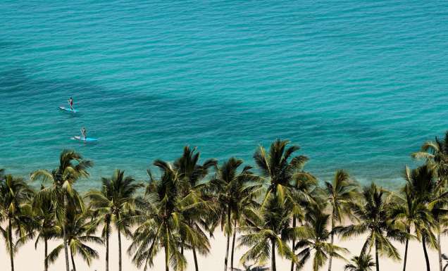view of Catseye Beach from The Sundays, Hamilton Island
