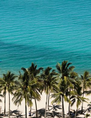 view of Catseye Beach from The Sundays, Hamilton Island