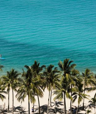 <p>Top 10 things to know about <strong>Hamilton Island</strong> before <i>leaving home</i></p>
