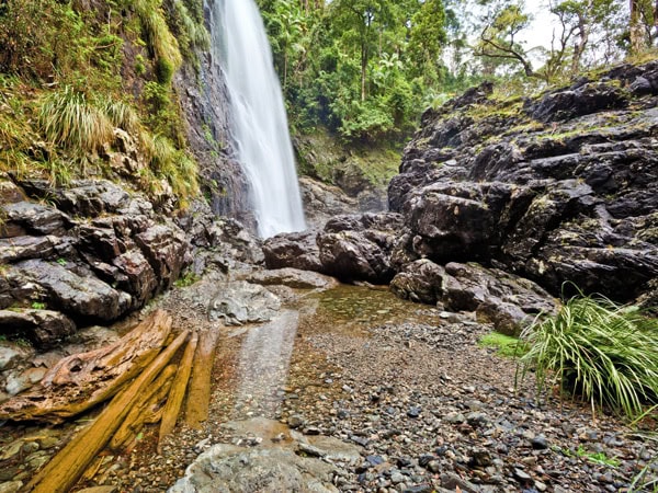 Red Cedar Falls in Dorrigo National Park, NSW