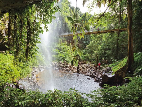 Crystal Shower Falls in Dorrigo National Park, NSW