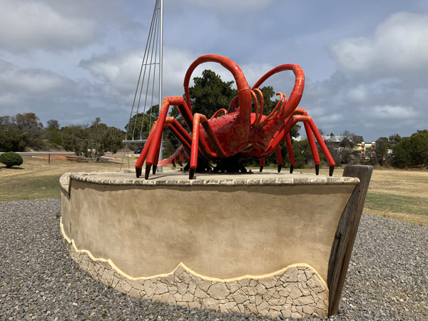 Big Western Rock Lobster in Dongara WA
