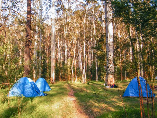 Acacia Flat Campground, Blue Mountains