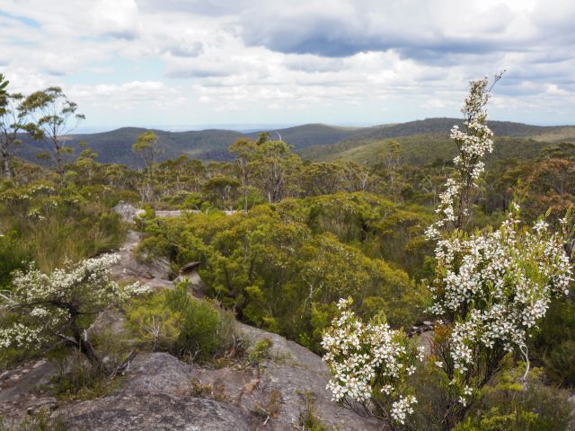 Murphy’s Glen Campground, Blue Mountains