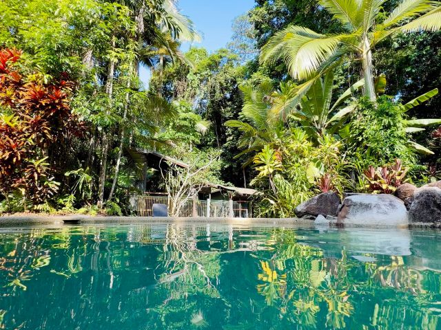 Safari Lodge, Cape Tribulation