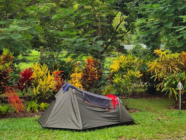 a tent setup at Daintree Rainforest Village