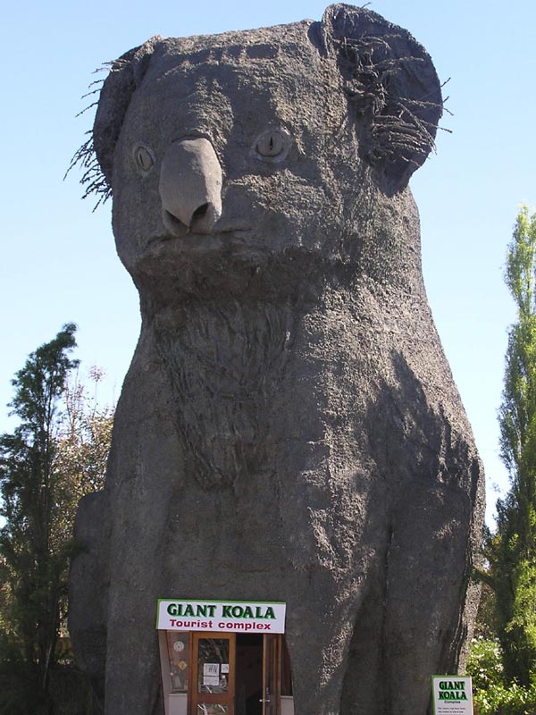 The Giant Koala, Wimmera, Victoria