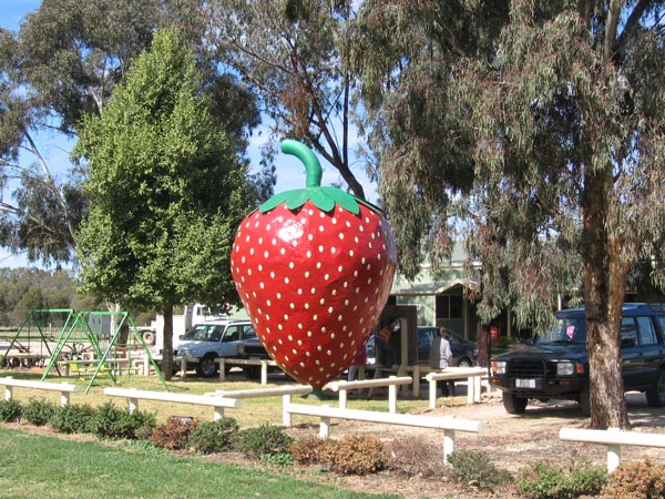 The Big Strawberry in Koonoomoo Victoria