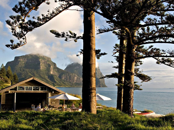 the Pinetrees Lodge nestled among tall pine trees, Lord Howe Island accommodation