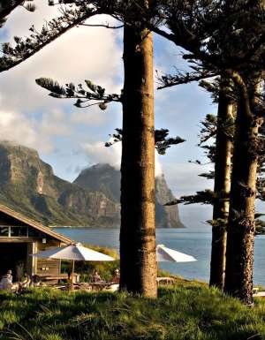 the Pinetrees Lodge nestled among tall pine trees, Lord Howe Island accommodation