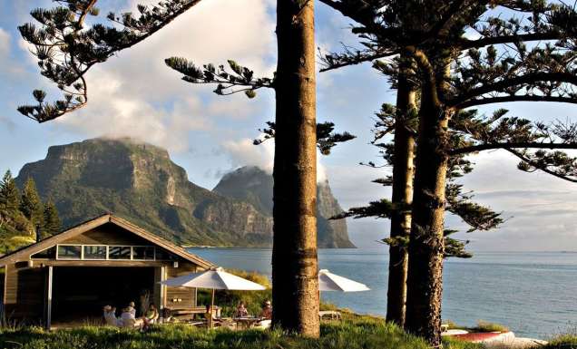 the Pinetrees Lodge nestled among tall pine trees, Lord Howe Island accommodation