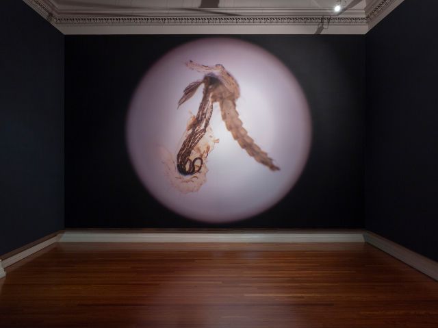 Milani Gallery at RMIT Gallery