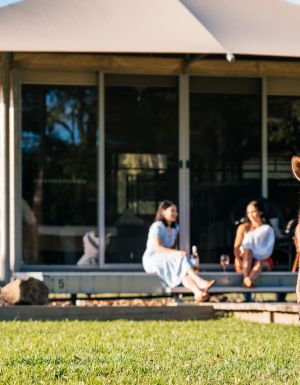 kangaroos at Habitat Noosa Everglades Ecocamp