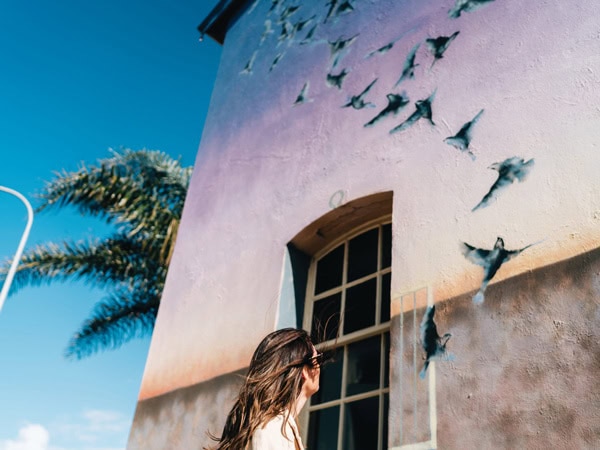 Woman admires a mural in Port Adelaide Wonderwalls Festival