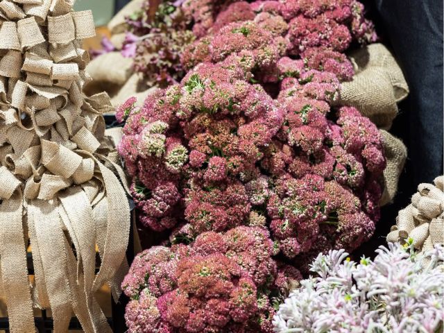fresh flowers at Sydney Flower Market