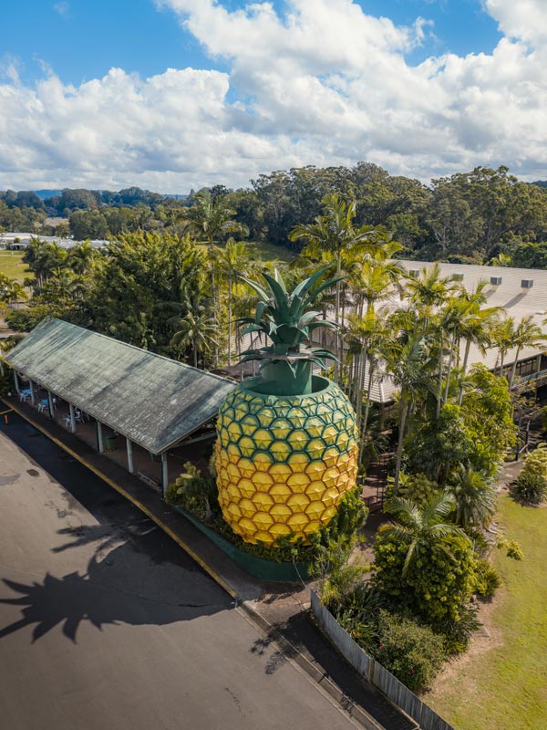 The Big Pineapple in the Sunshine Coast