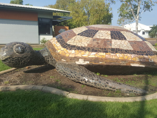 Colin The Big Turtle in Lyons Northern territory