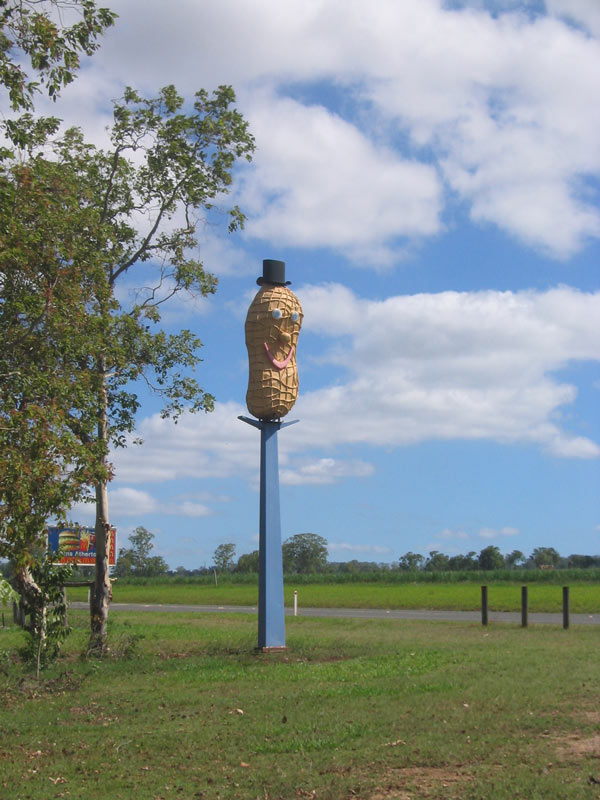 The Big Peanut in Tolga