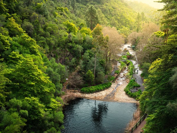 Waterfall Gully in Mount Lofty