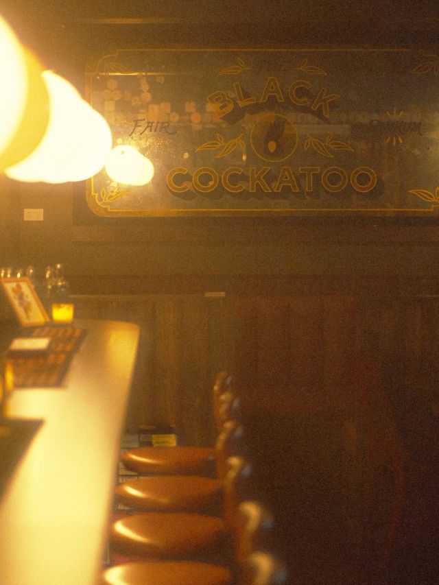 The Black Cockatoo Bar, Wollongong