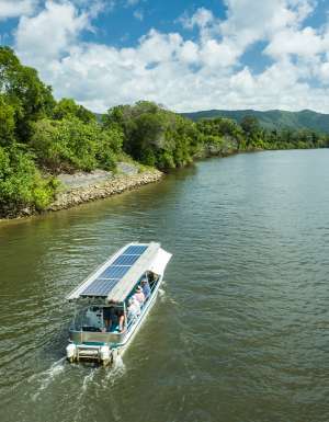 Daintree River Cruises