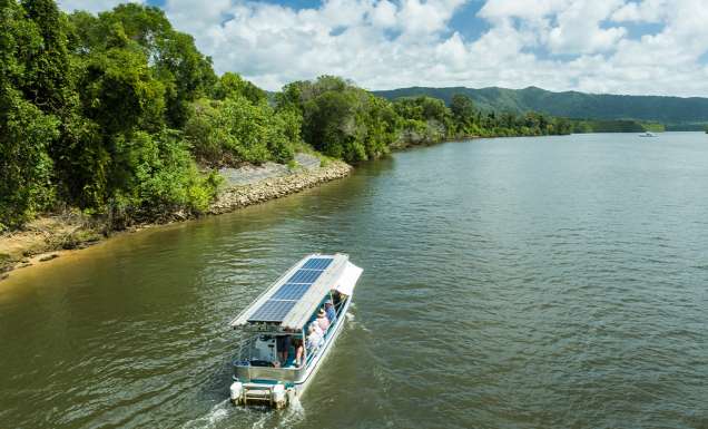 Daintree River Cruises